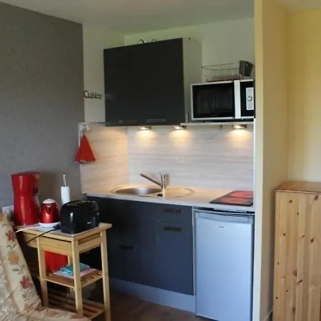 Apartament La Roche-posay, 2 Pieces, 4 Personnes - Fr-1-541-5 La Roche-Posay