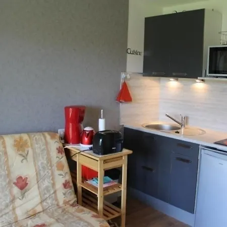 Apartament La Roche-posay, 2 Pieces, 4 Personnes - Fr-1-541-5 La Roche-Posay